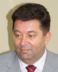 Radivoje Mitrovic Radivoje Mitrovic